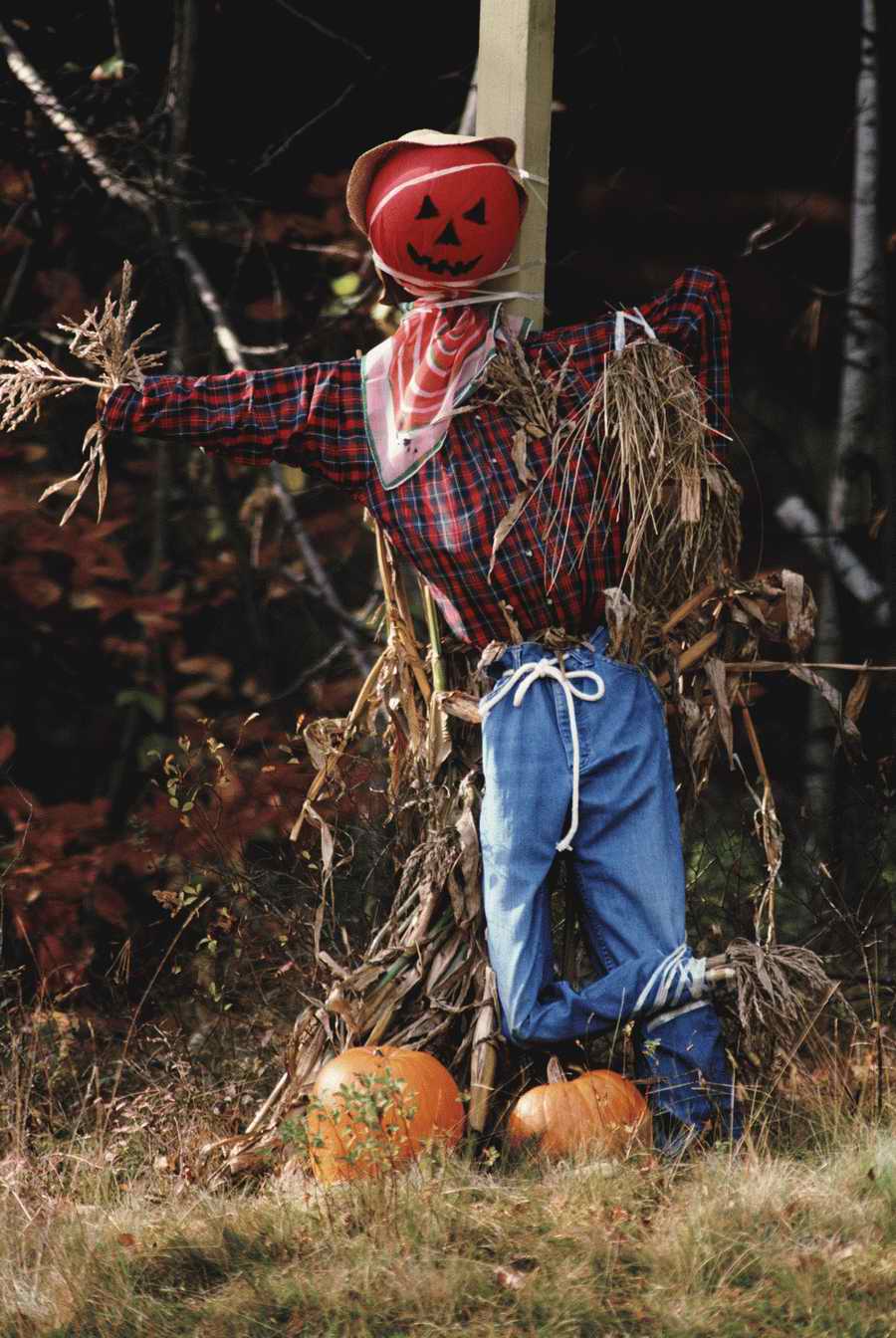 Holidays & Celebrations - Photodisc ></a>
<script language=JavaScript> 
  var txt = 