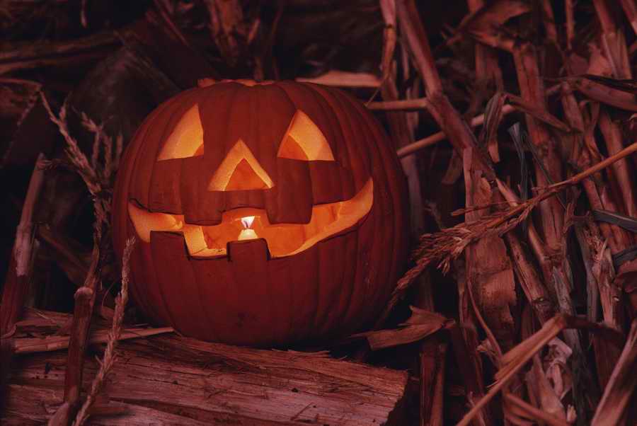 Holidays & Celebrations - Photodisc ></a>
<script language=JavaScript> 
  var txt = 