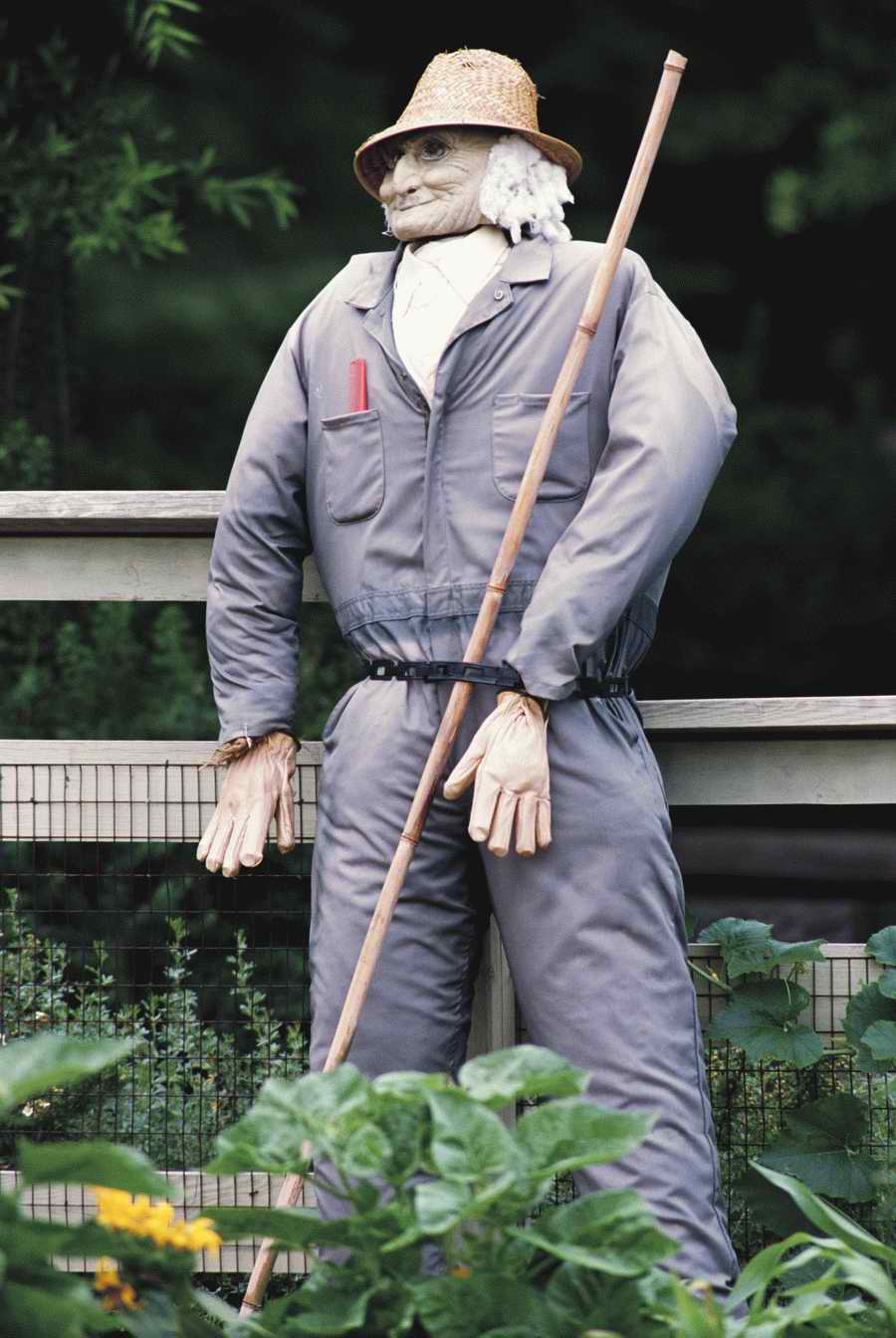 Holidays & Celebrations - Photodisc ></a>
<script language=JavaScript> 
  var txt = 