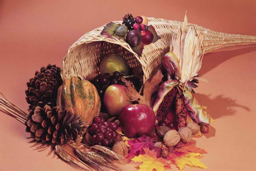 Holidays & Celebrations - Photodisc ></a>
<script language=JavaScript> 
  var txt = 