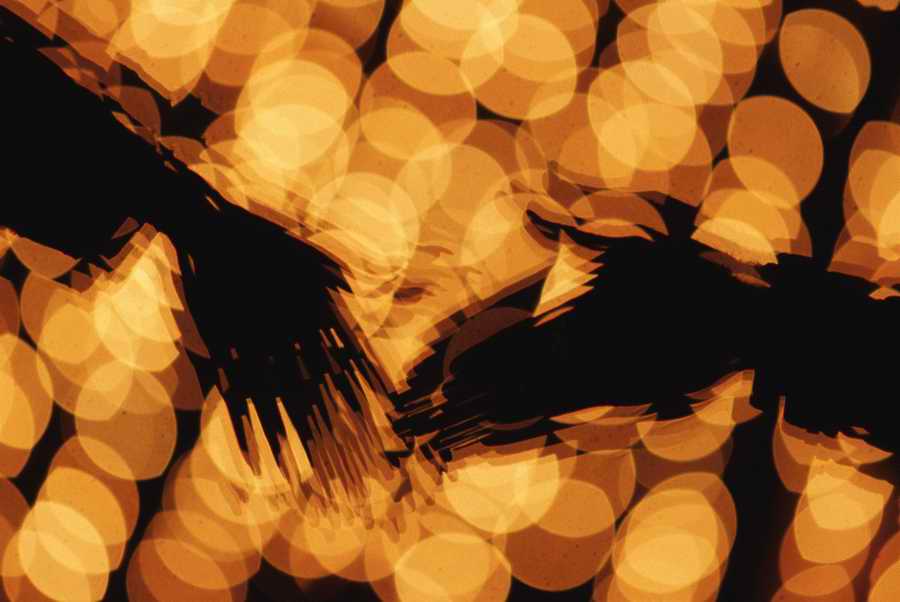 Holidays & Celebrations - Photodisc ></a>
<script language=JavaScript> 
  var txt = 