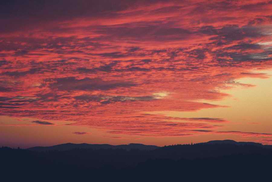 Holidays & Celebrations - Photodisc ></a>
<script language=JavaScript> 
  var txt = 