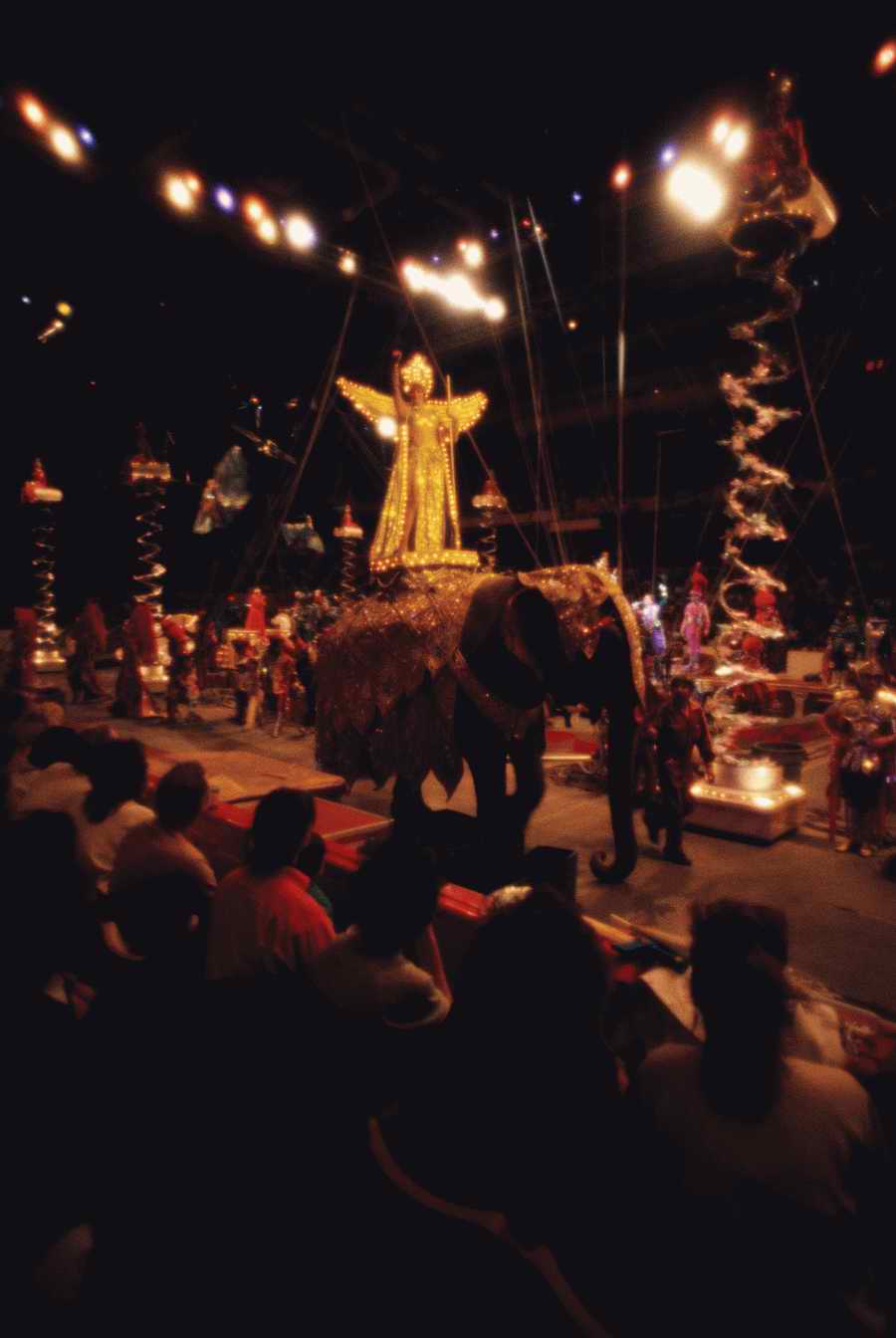 Holidays & Celebrations - Photodisc ></a>
<script language=JavaScript> 
  var txt = 