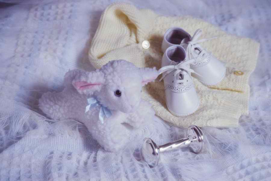 Holidays & Celebrations - Photodisc ></a>
<script language=JavaScript> 
  var txt = 