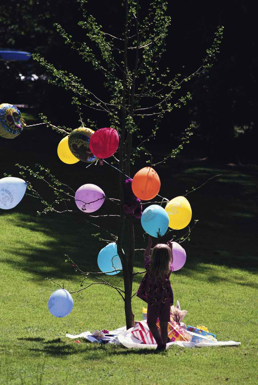 Holidays & Celebrations - Photodisc ></a>
<script language=JavaScript> 
  var txt = 