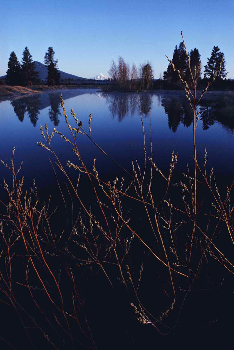 Holidays & Celebrations - Photodisc ></a>
<script language=JavaScript> 
  var txt = 