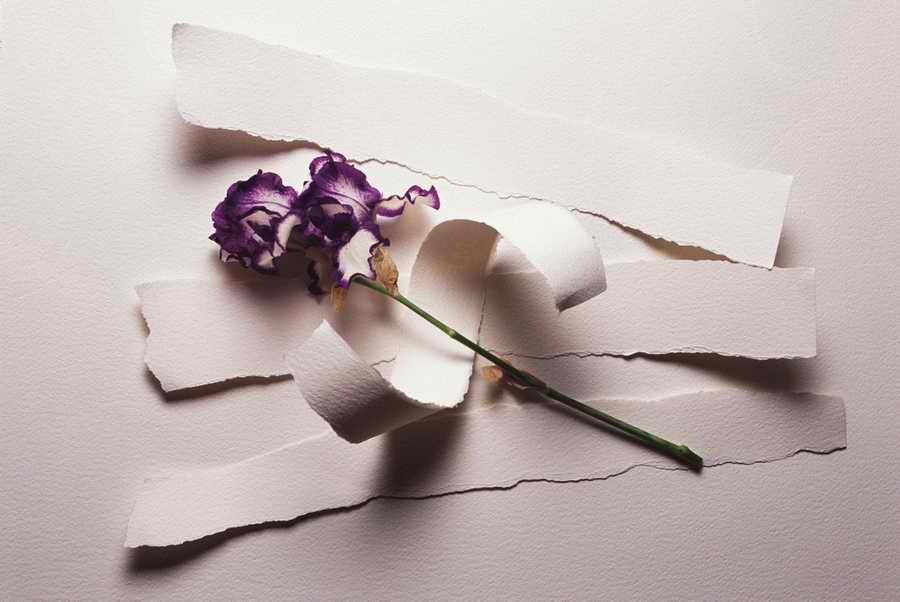 Holidays & Celebrations - Photodisc ></a>
<script language=JavaScript> 
  var txt = 