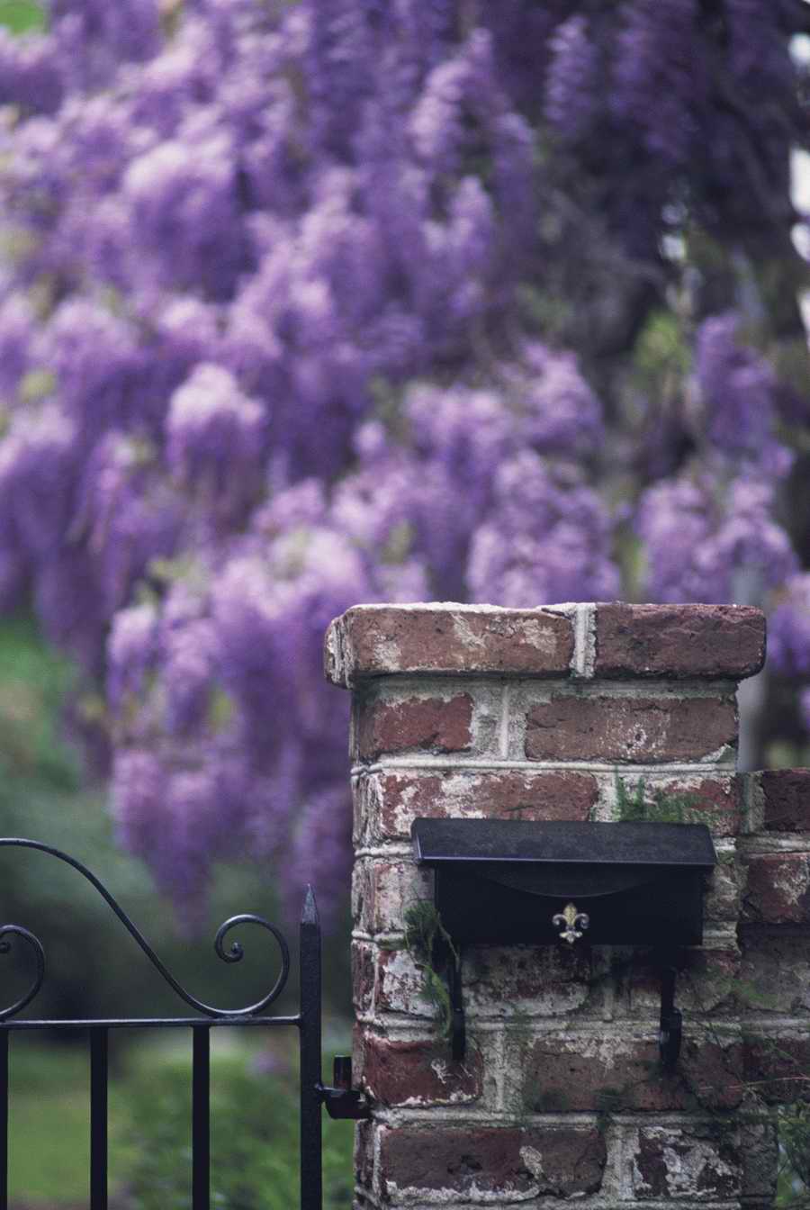 Homes & Gardens - Photodisc ></a>
<script language=JavaScript> 
  var txt = 