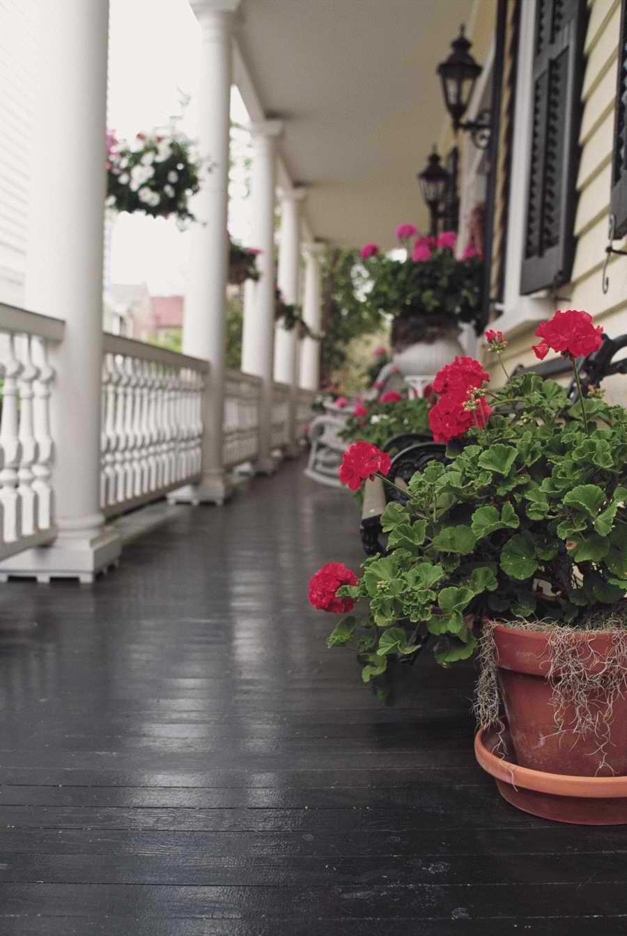 Homes & Gardens - Photodisc ></a>
<script language=JavaScript> 
  var txt = 