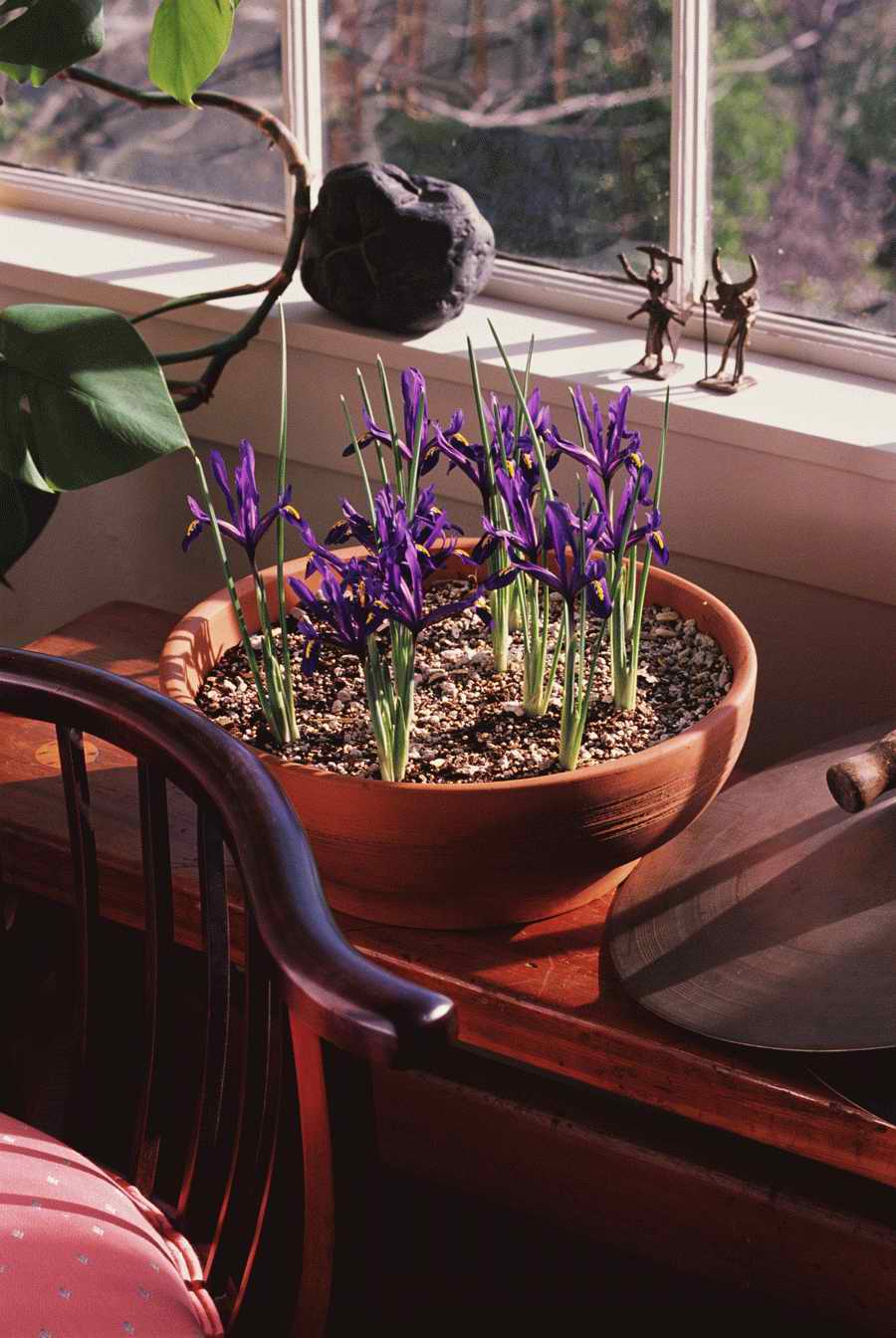 Homes & Gardens - Photodisc ></a>
<script language=JavaScript> 
  var txt = 