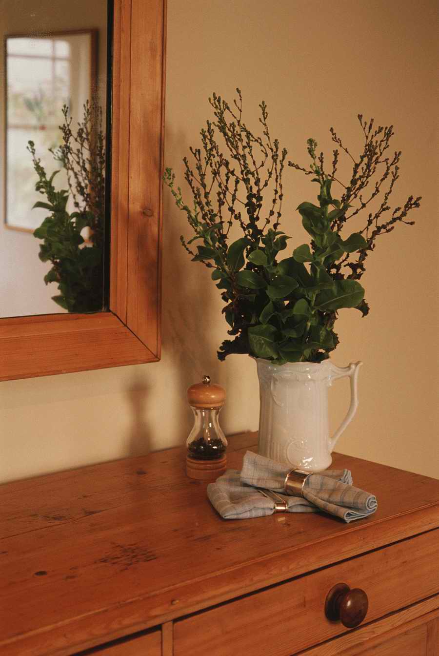 Homes & Gardens - Photodisc ></a>
<script language=JavaScript> 
  var txt = 