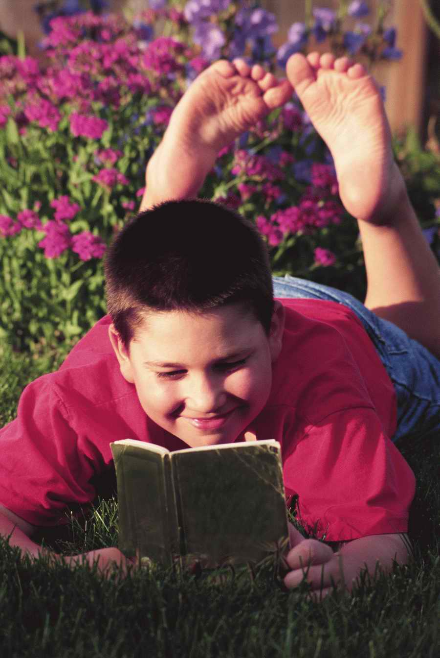 Homes & Gardens - Photodisc ></a>
<script language=JavaScript> 
  var txt = 