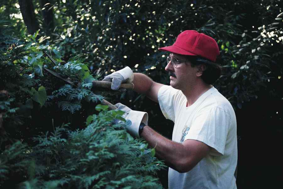 Homes & Gardens - Photodisc ></a>
<script language=JavaScript> 
  var txt = 