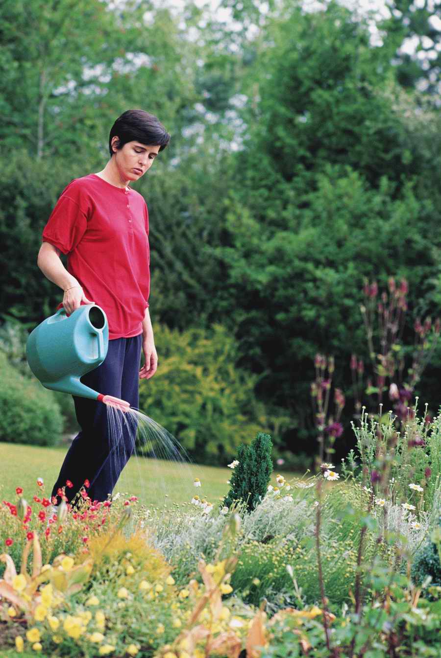 Homes & Gardens - Photodisc ></a>
<script language=JavaScript> 
  var txt = 