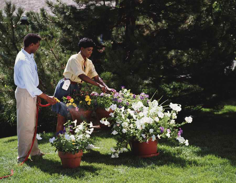 Homes & Gardens - Photodisc ></a>
<script language=JavaScript> 
  var txt = 