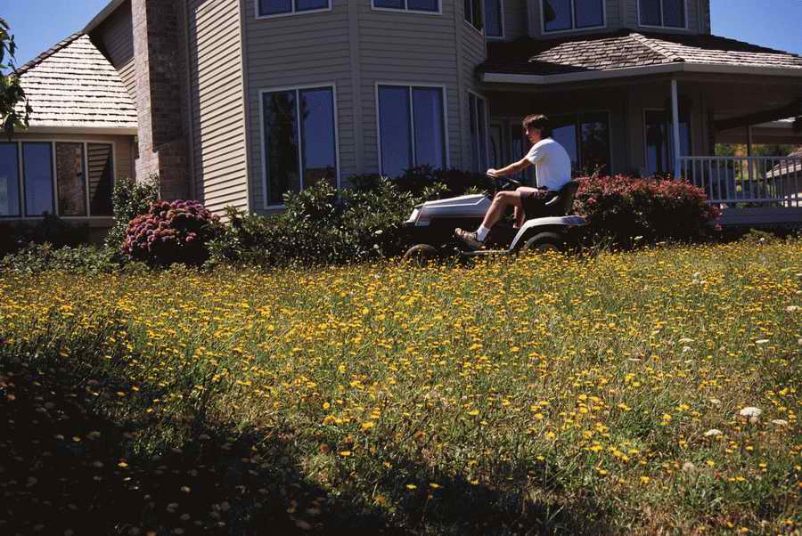 Homes & Gardens - Photodisc ></a>
<script language=JavaScript> 
  var txt = 