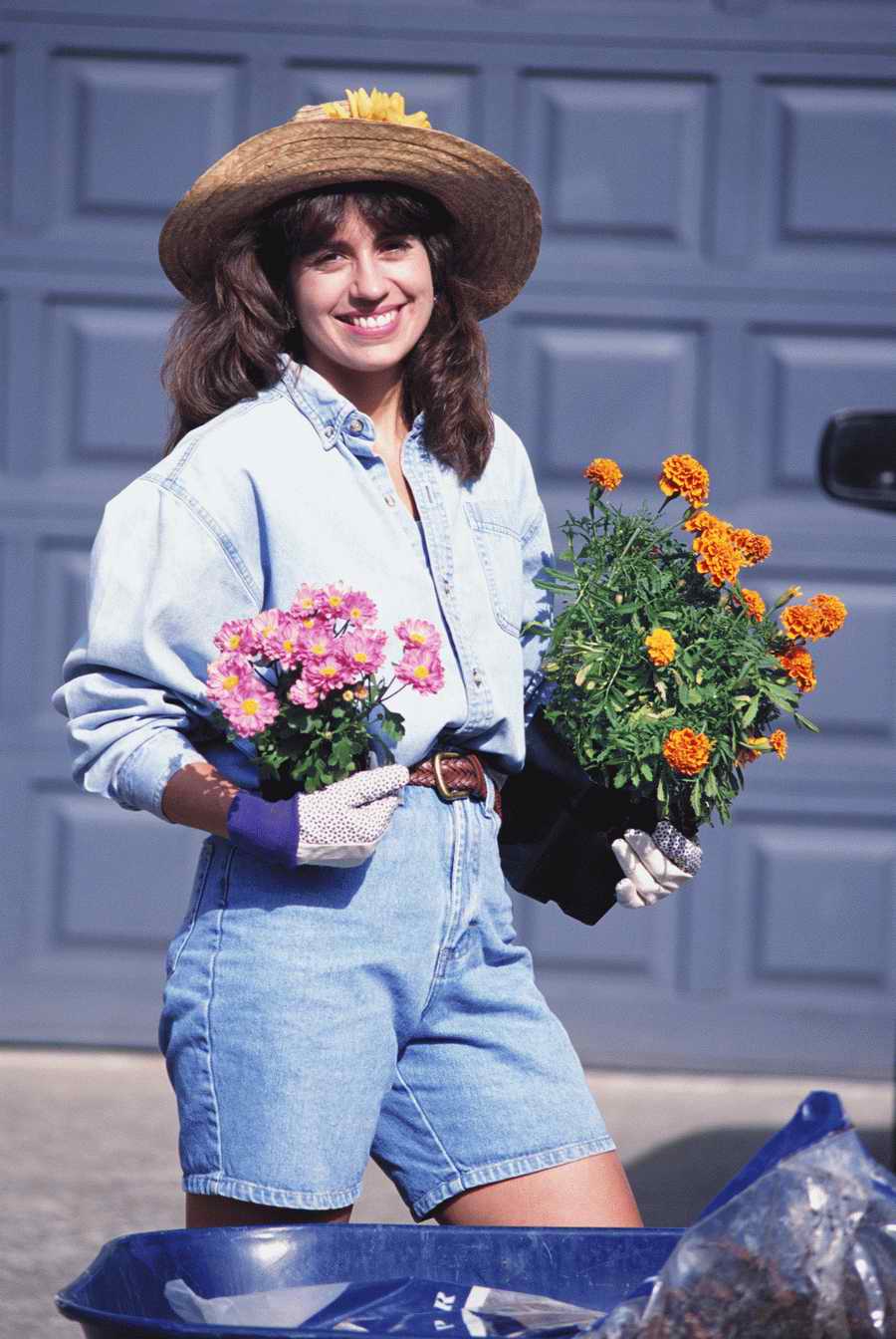 Homes & Gardens - Photodisc ></a>
<script language=JavaScript> 
  var txt = 