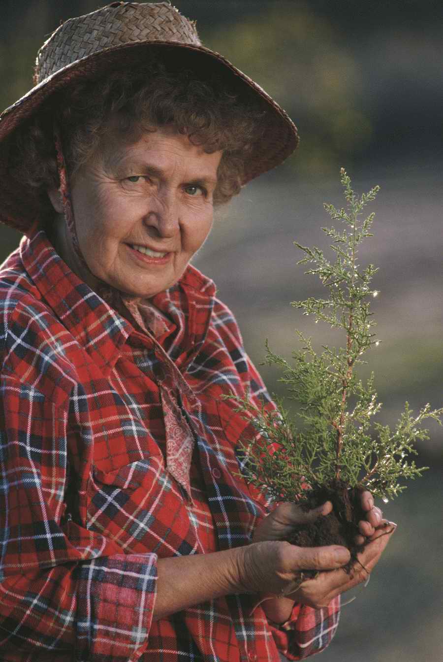 Homes & Gardens - Photodisc ></a>
<script language=JavaScript> 
  var txt = 