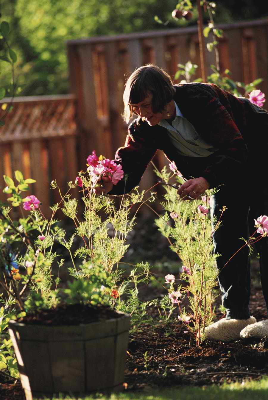 Homes & Gardens - Photodisc ></a>
<script language=JavaScript> 
  var txt = 