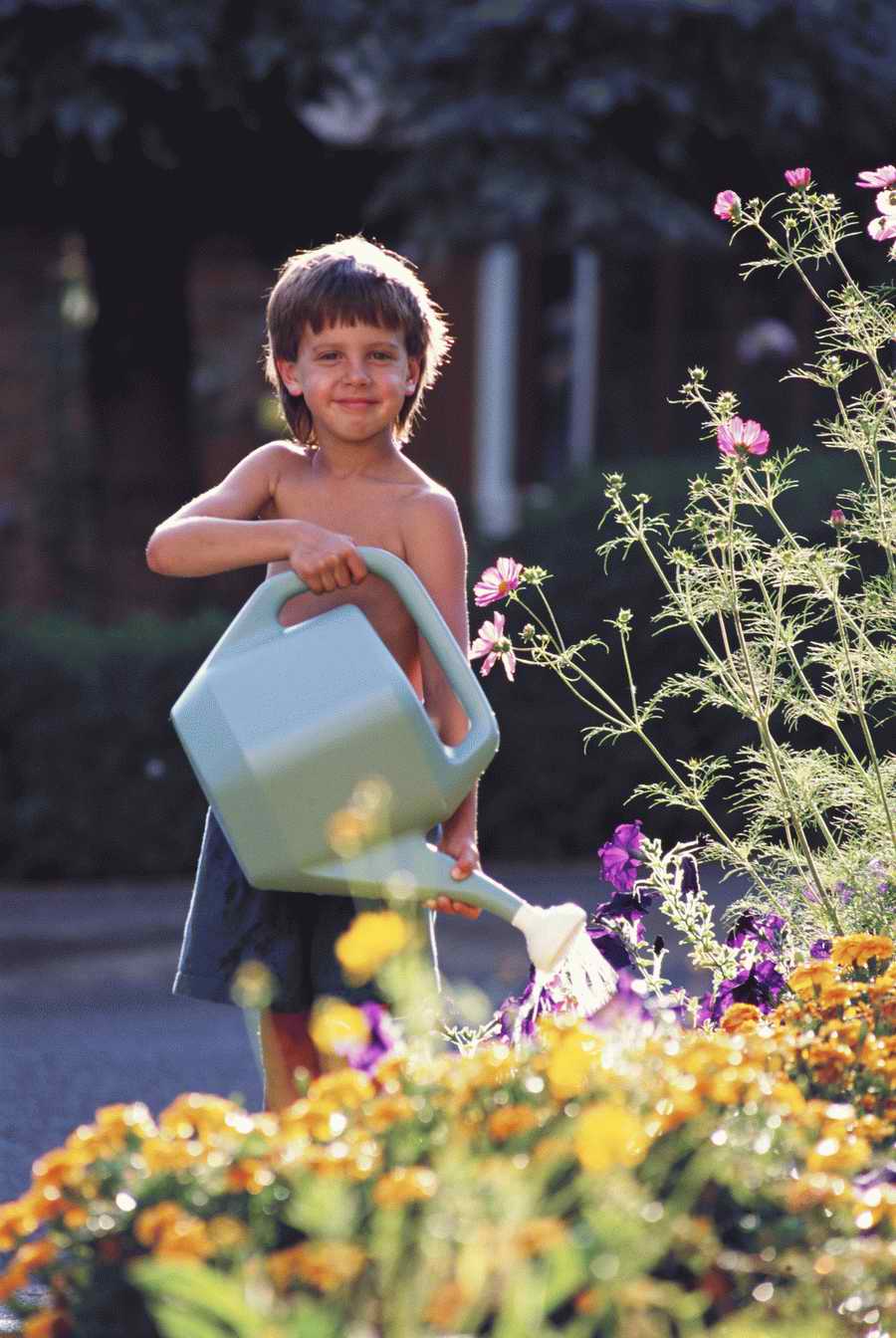 Homes & Gardens - Photodisc ></a>
<script language=JavaScript> 
  var txt = 