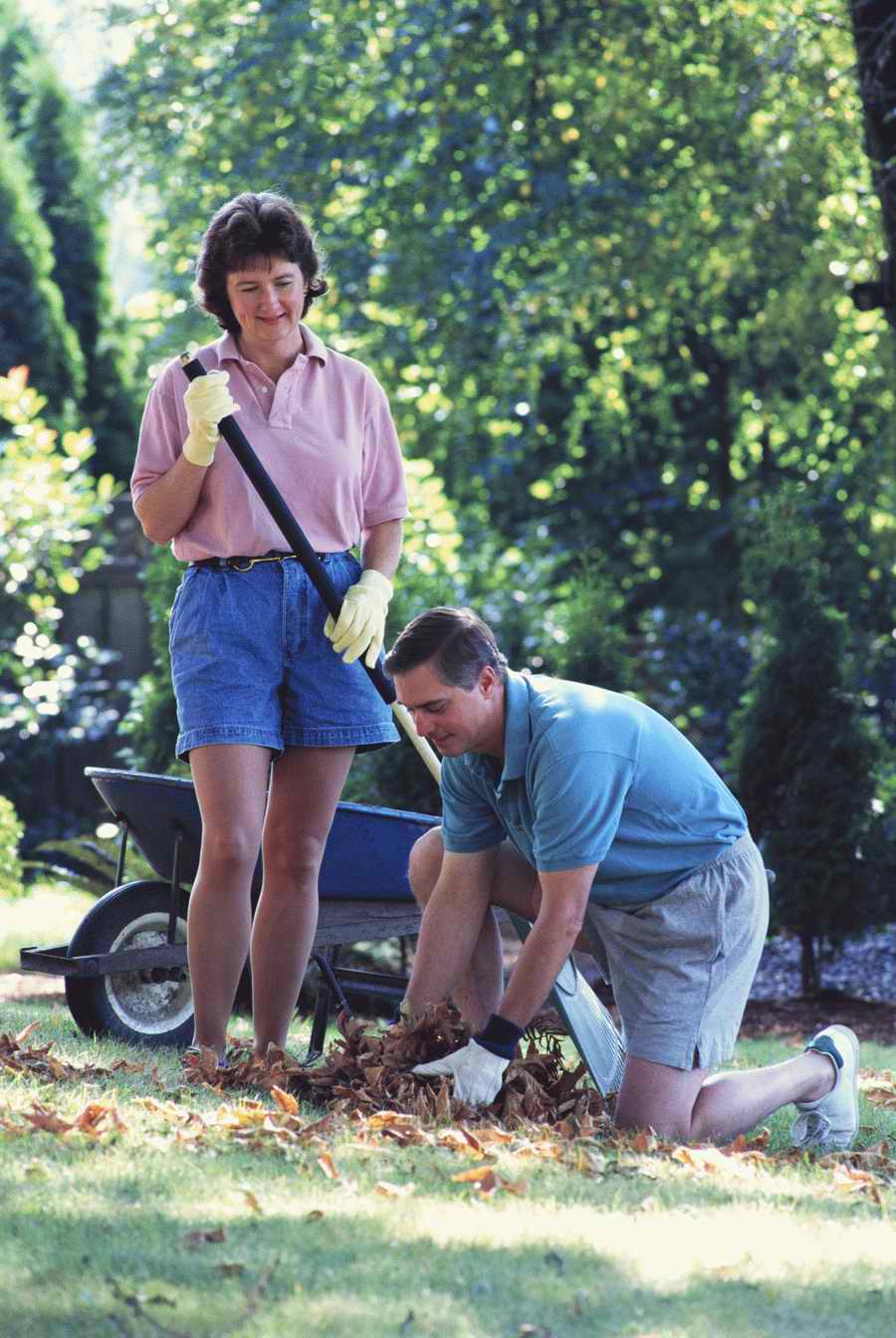 Homes & Gardens - Photodisc ></a>
<script language=JavaScript> 
  var txt = 