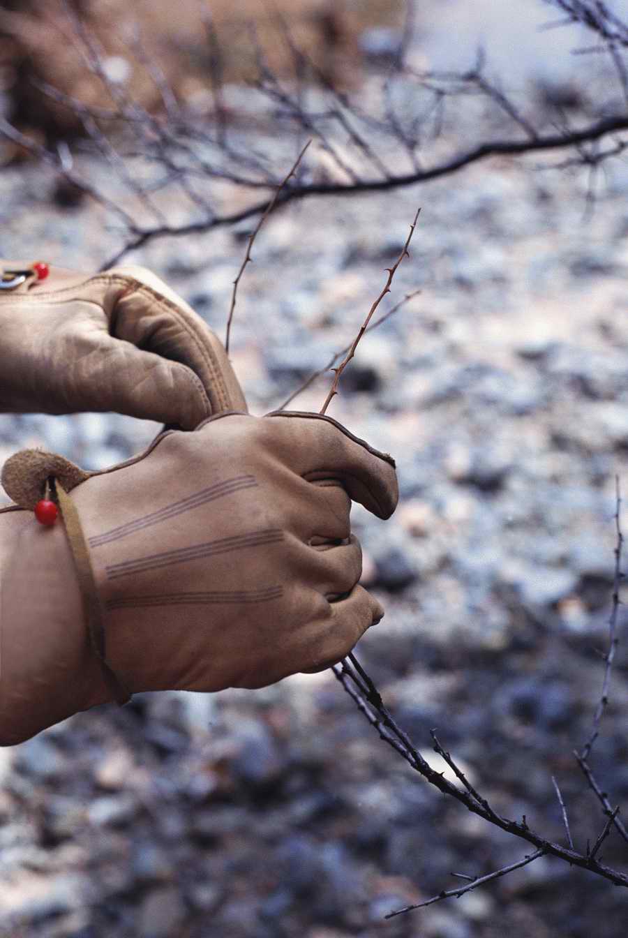 Homes & Gardens - Photodisc ></a>
<script language=JavaScript> 
  var txt = 