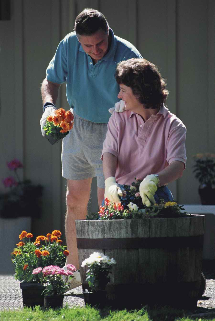 Homes & Gardens - Photodisc ></a>
<script language=JavaScript> 
  var txt = 