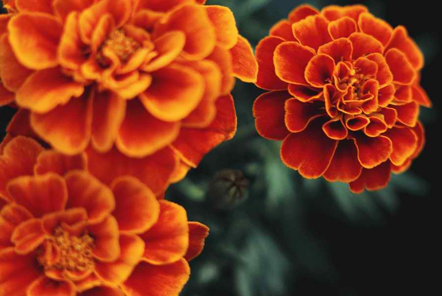 Homes & Gardens - Photodisc ></a>
<script language=JavaScript> 
  var txt = 