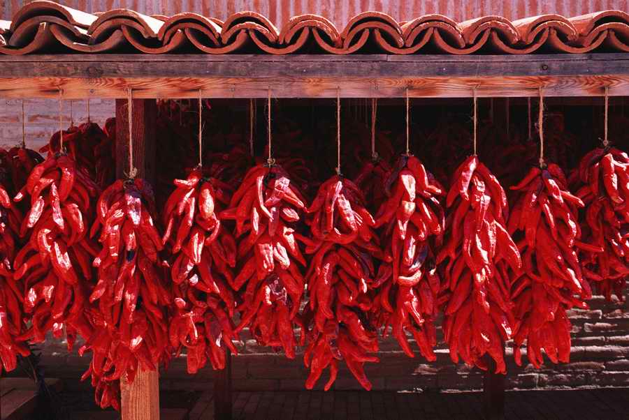 Homes & Gardens - Photodisc ></a>
<script language=JavaScript> 
  var txt = 