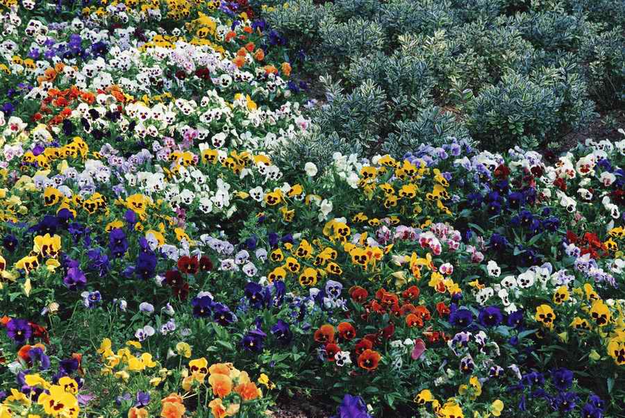 Homes & Gardens - Photodisc ></a>
<script language=JavaScript> 
  var txt = 