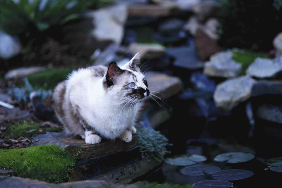 Homes & Gardens - Photodisc ></a>
<script language=JavaScript> 
  var txt = 