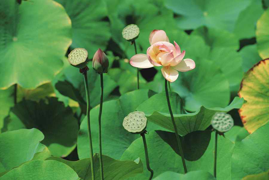 Homes & Gardens - Photodisc ></a>
<script language=JavaScript> 
  var txt = 