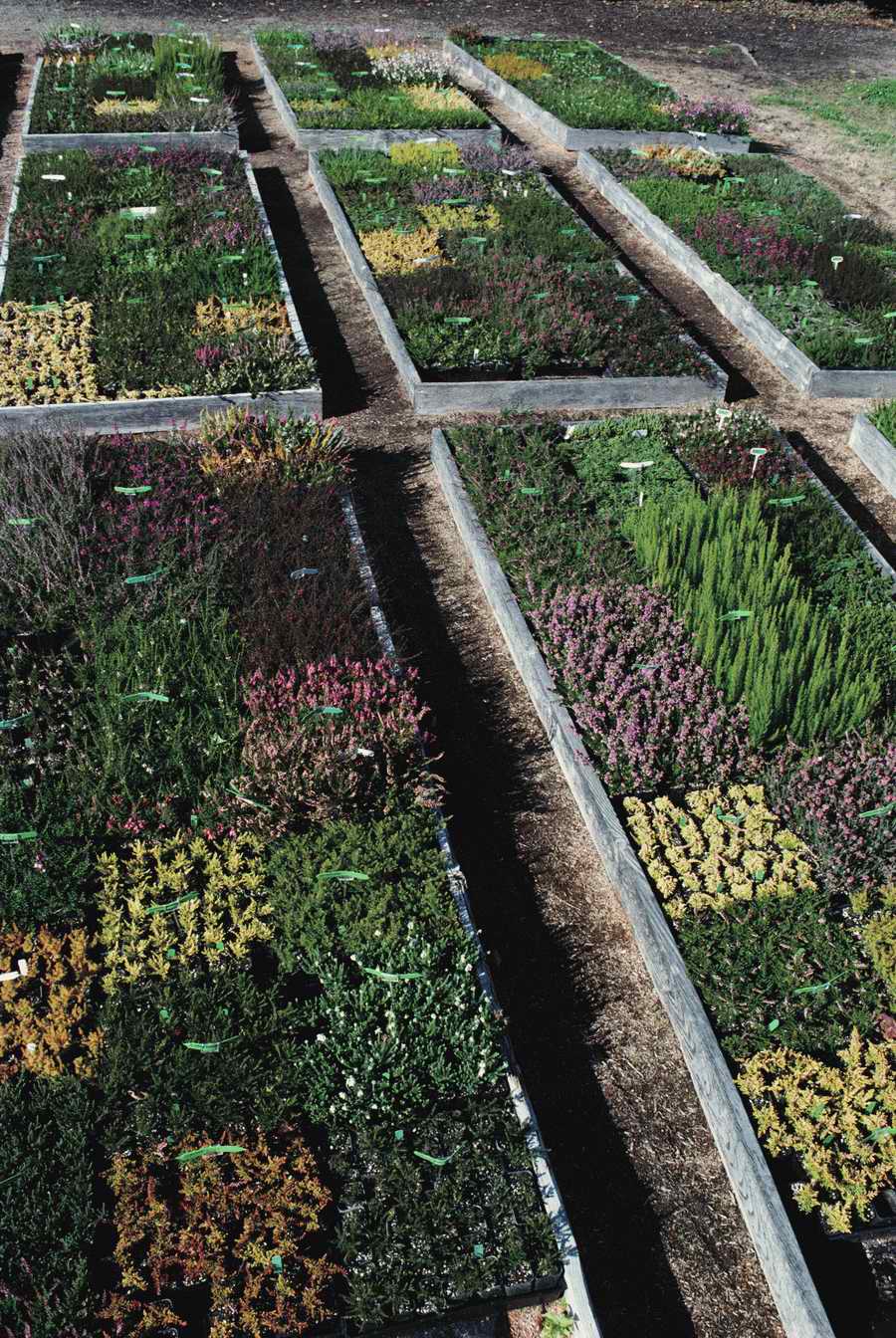 Homes & Gardens - Photodisc ></a>
<script language=JavaScript> 
  var txt = 