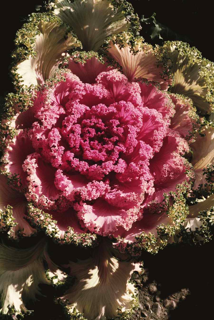 Homes & Gardens - Photodisc ></a>
<script language=JavaScript> 
  var txt = 