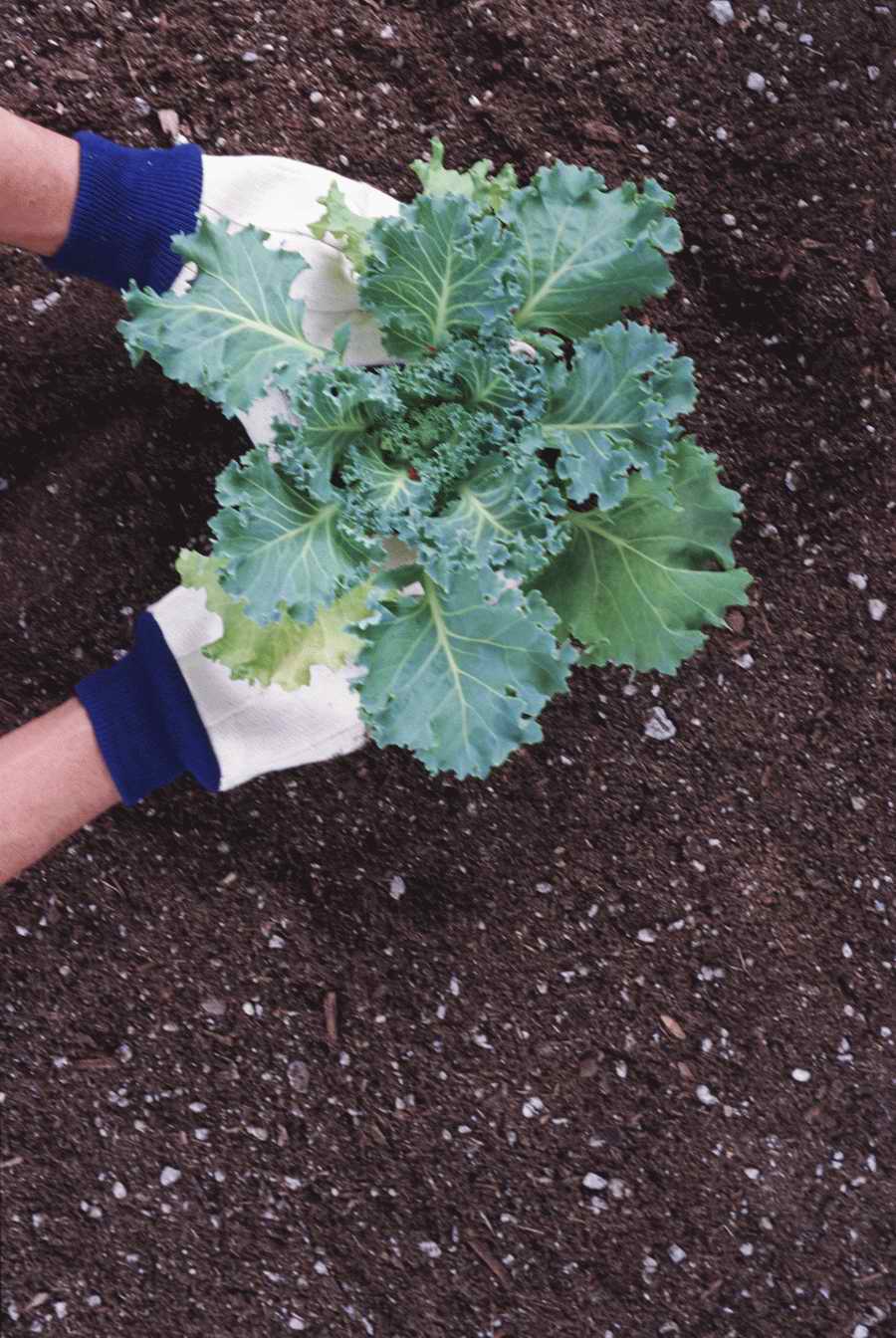 Homes & Gardens - Photodisc ></a>
<script language=JavaScript> 
  var txt = 