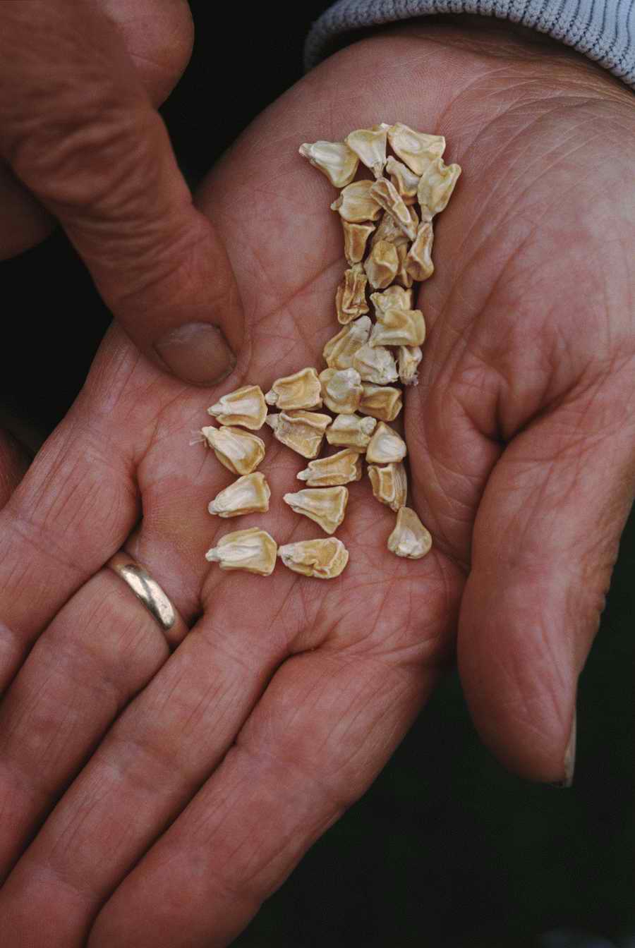 Homes & Gardens - Photodisc ></a>
<script language=JavaScript> 
  var txt = 