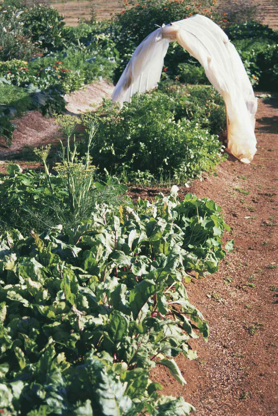 Homes & Gardens - Photodisc ></a>
<script language=JavaScript> 
  var txt = 