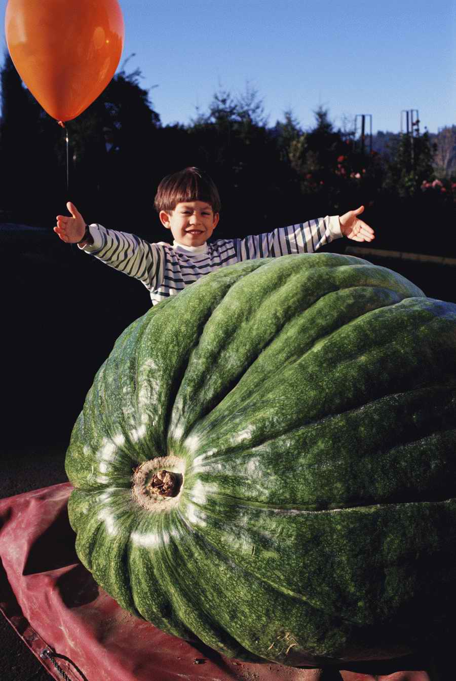 Homes & Gardens - Photodisc ></a>
<script language=JavaScript> 
  var txt = 