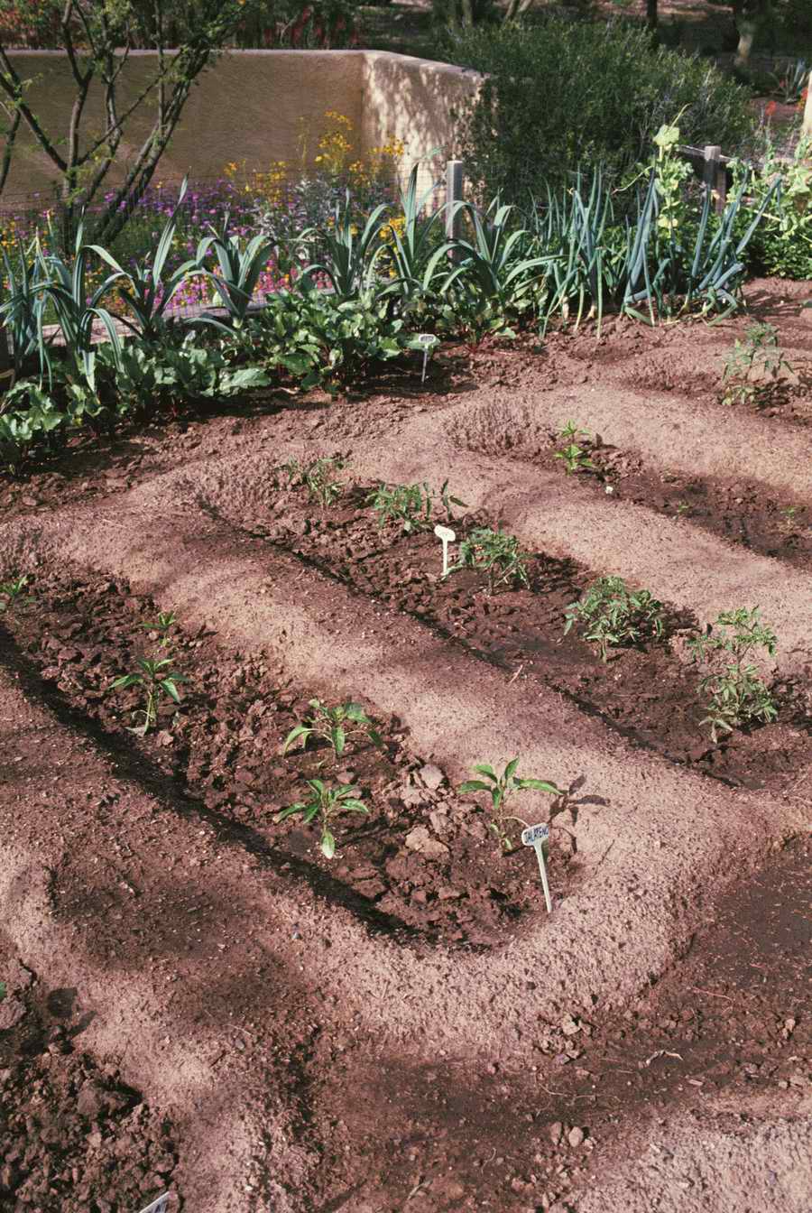 Homes & Gardens - Photodisc ></a>
<script language=JavaScript> 
  var txt = 