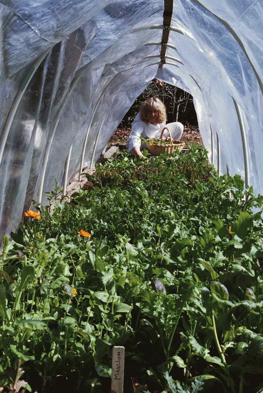 Homes & Gardens - Photodisc ></a>
<script language=JavaScript> 
  var txt = 