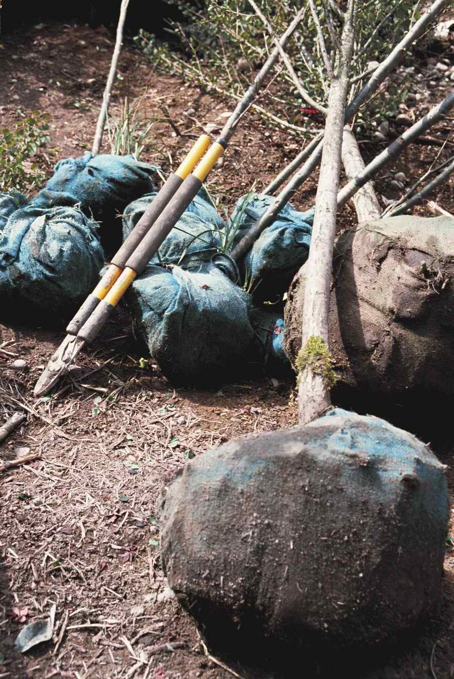 Homes & Gardens - Photodisc ></a>
<script language=JavaScript> 
  var txt = 