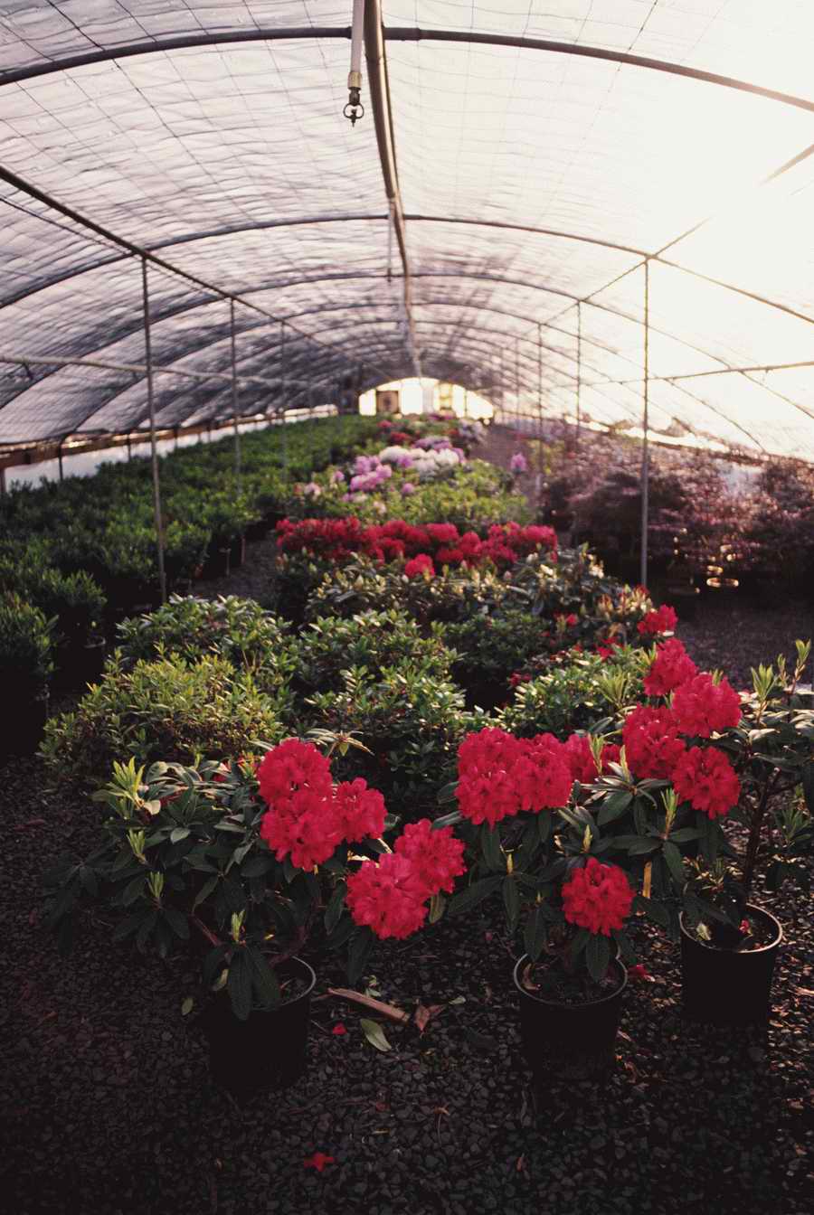 Homes & Gardens - Photodisc ></a>
<script language=JavaScript> 
  var txt = 