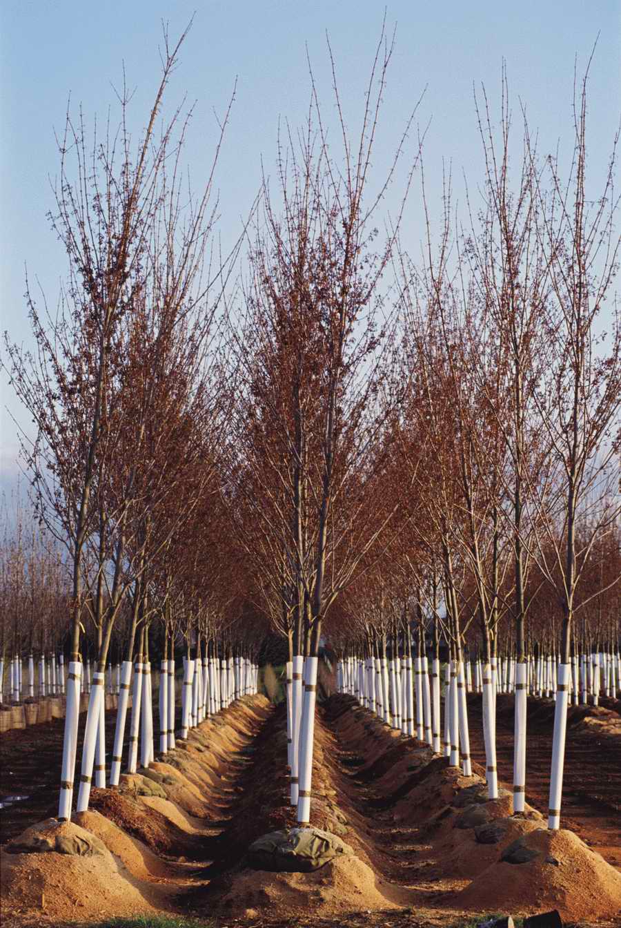 Homes & Gardens - Photodisc ></a>
<script language=JavaScript> 
  var txt = 