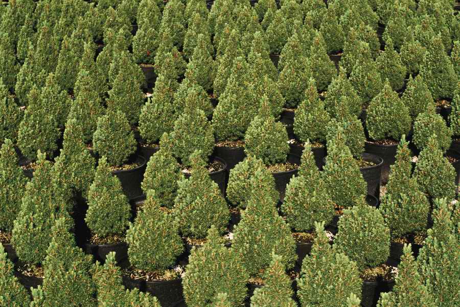 Homes & Gardens - Photodisc ></a>
<script language=JavaScript> 
  var txt = 