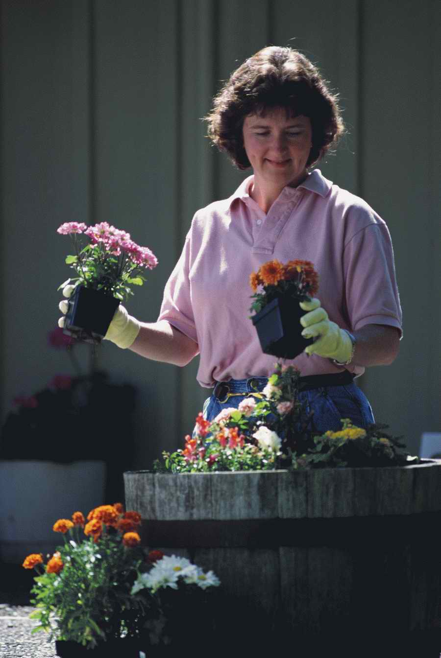 Homes & Gardens - Photodisc ></a>
<script language=JavaScript> 
  var txt = 