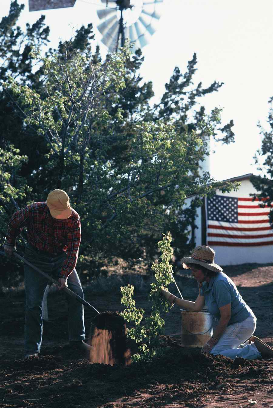 Homes & Gardens - Photodisc ></a>
<script language=JavaScript> 
  var txt = 