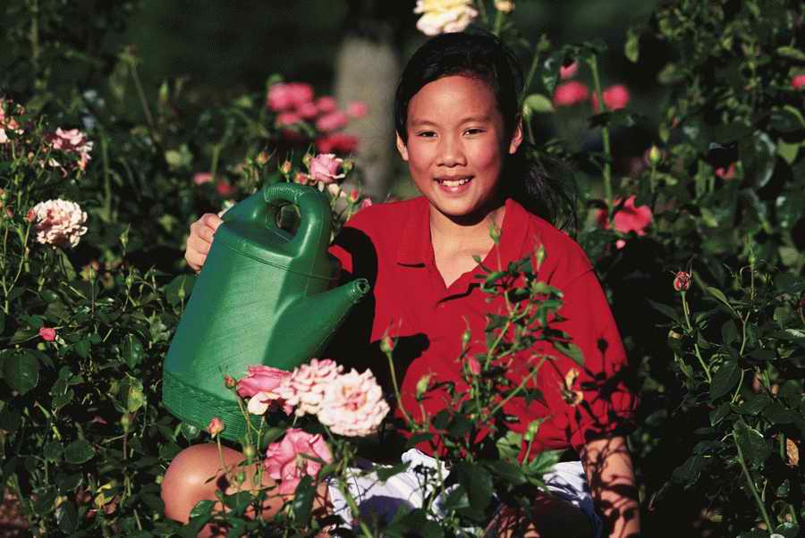 Homes & Gardens - Photodisc ></a>
<script language=JavaScript> 
  var txt = 