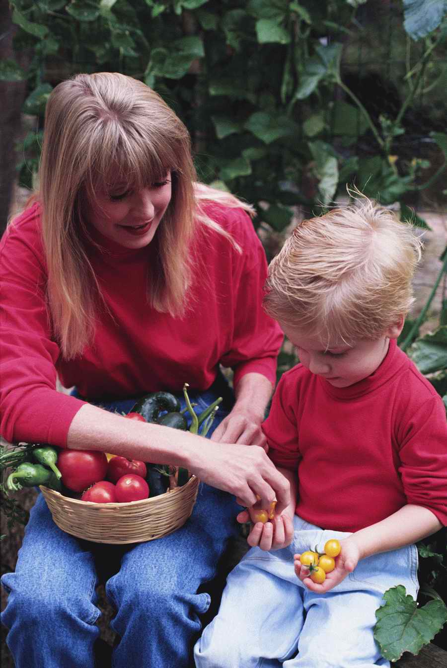 Homes & Gardens - Photodisc ></a>
<script language=JavaScript> 
  var txt = 