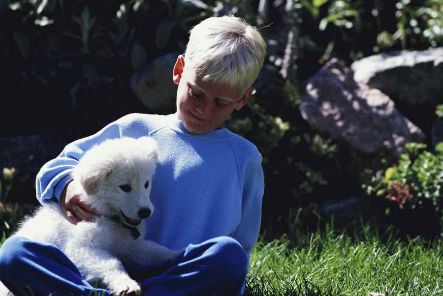 Homes & Gardens - Photodisc ></a>
<script language=JavaScript> 
  var txt = 