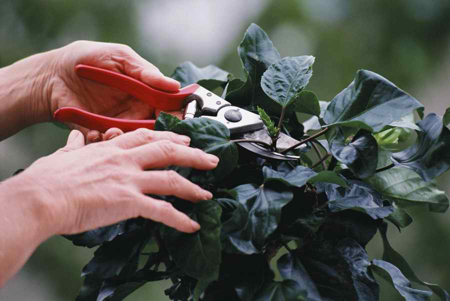 Homes & Gardens - Photodisc ></a>
<script language=JavaScript> 
  var txt = 